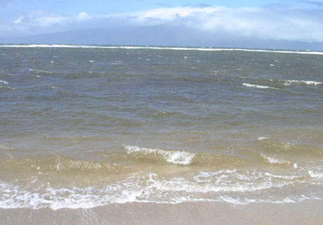 海の景色